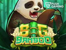 Bbet casino8